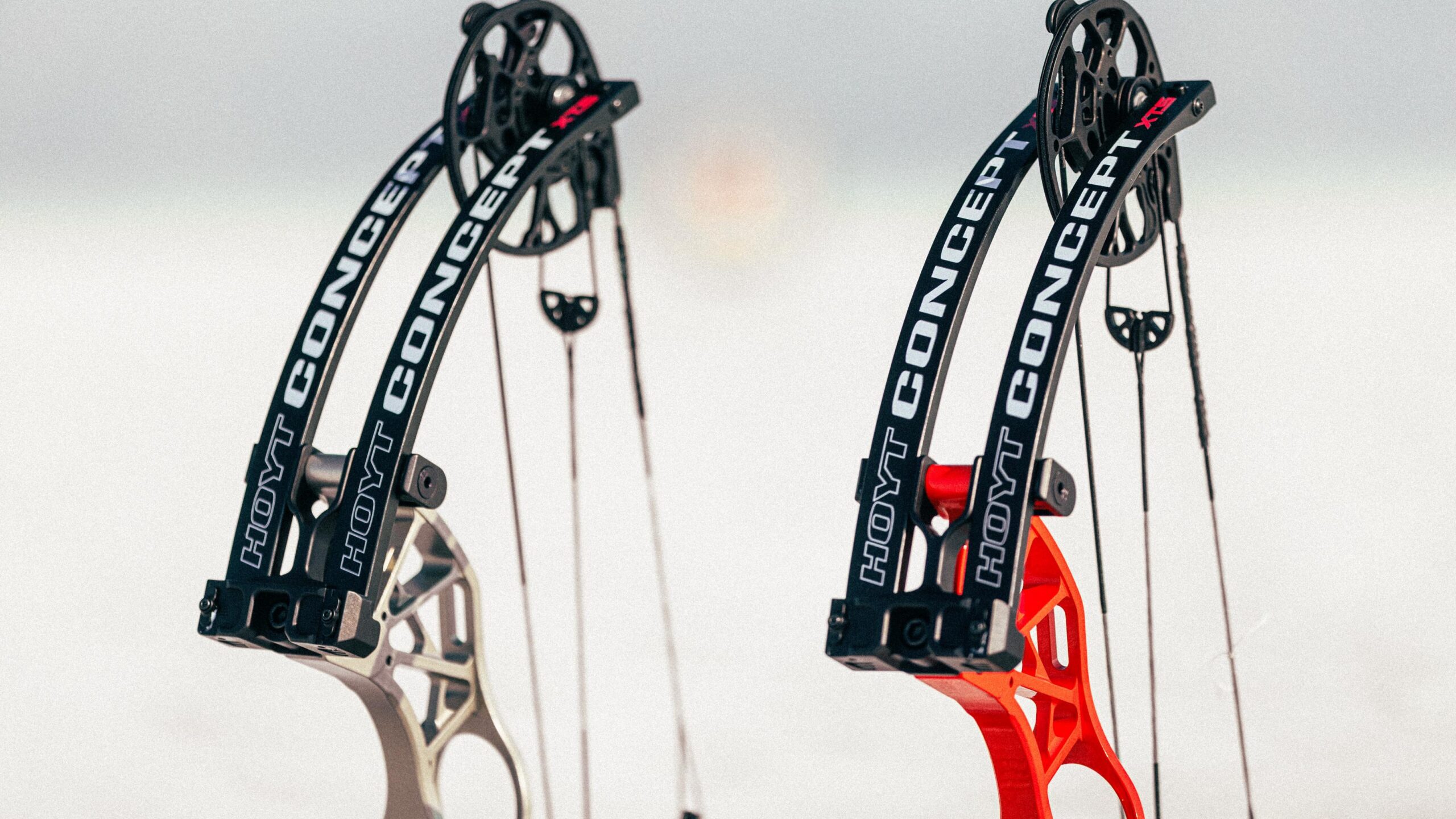 Hoyt Concept XTS 複合弓正面特寫